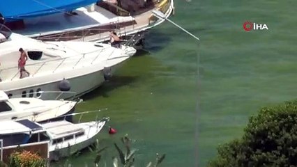 Fethiye Körfezi'nde deniz sarı ve yeşile döndü