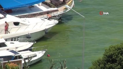 Fethiye Körfezinde sarı ve yeşil alarm