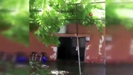 Evden çıkan 2 metrelik yılana tazyikli su ve kürekle müdahale