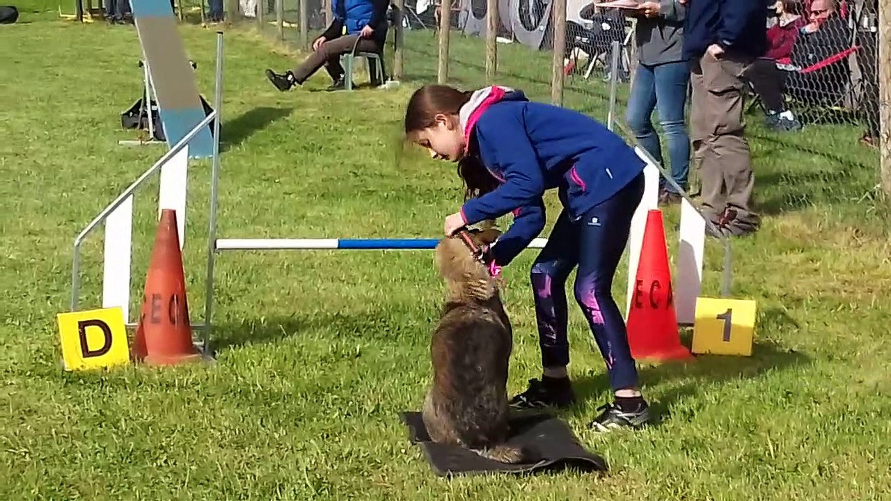 20190526_092628_Bains_Agility-Standard-B-JC_Eryne_Nawook