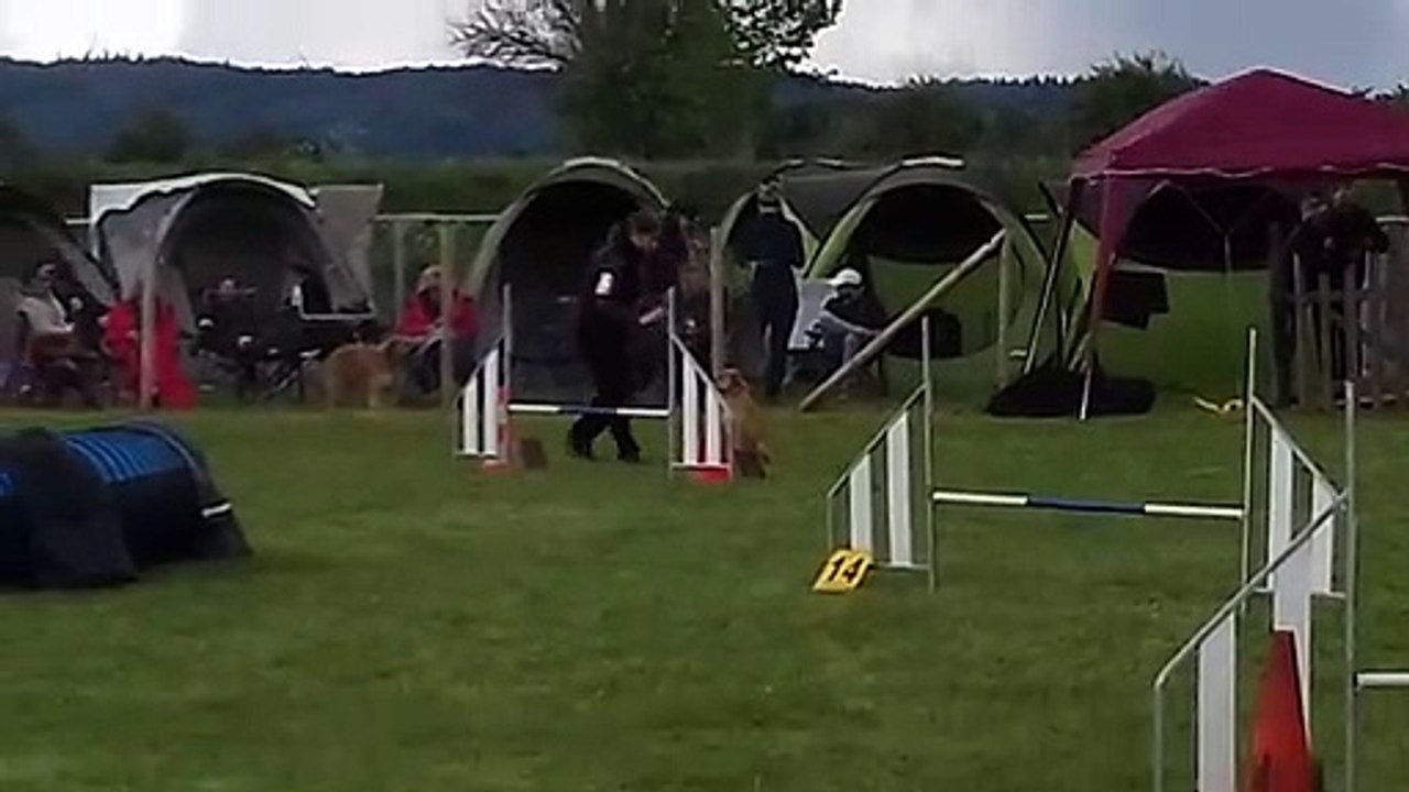 20190526_100724_Bains_Agility-Grade1-B-Nyskae