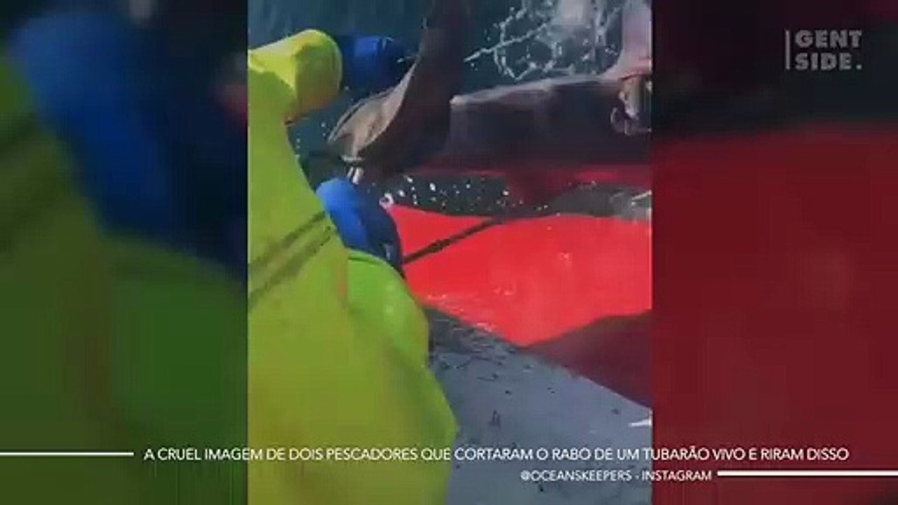 Estes dois pescadores estão virando viral depois de fazer algo imperdoável