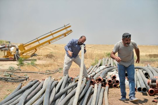 Mardin'de koruma altında olan alaca sansar görüldü