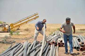 Mardin'de koruma altında olan "alaca sansar" görüldü