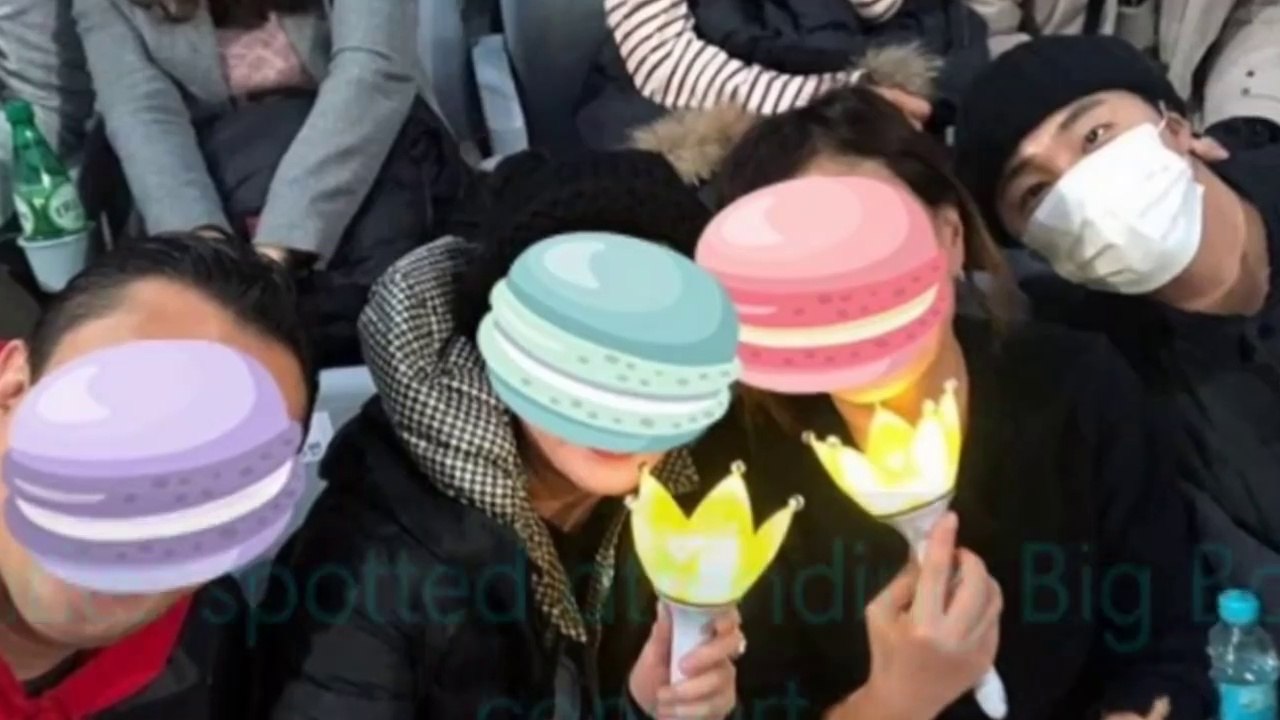 celebrities who attending Big Bang's 'Last_Dance' concert(720p)