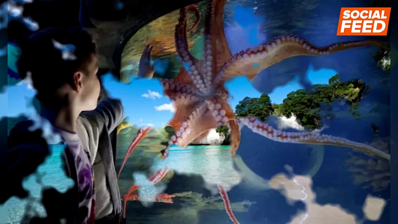 6 Kids-Friendly Things To See And Do In New Zealand