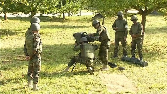 L'Allemagne interdit l'export d'armes légères vers les pays tiers