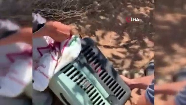 Koruma altındaki 'alaca sansar' Mardin’de görüldü