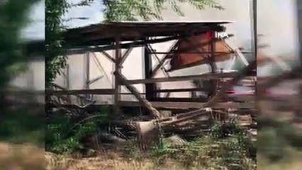 Denizli’de yangın faciaya neden oldu hayvanlar yanarak telef oldu