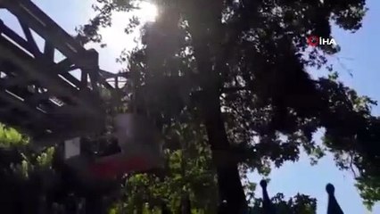 Ağaçta mahsur kalan kedinin yardımına itfaiye yetişti