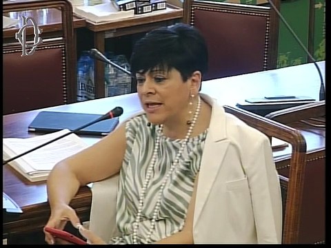 Roma - Audizioni su lavoro e previdenza settore spettacolo (25.06.19)