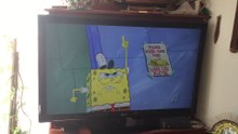 SpongeBob Kenny the Cat