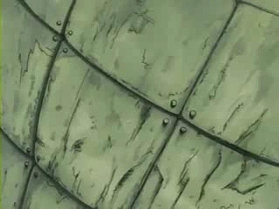 NVSAMV_0002