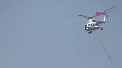 ÇANAKKALE Ezine'de zeytinlik ve ot yangını