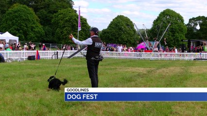 GOODLINES: 26th June 2019