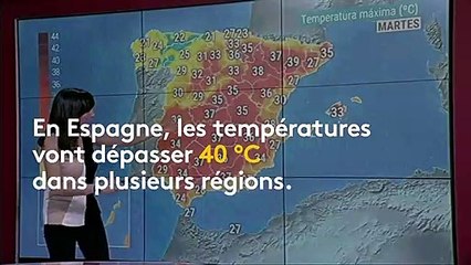 Canicule en Europe : l'Espagne et l'Italie sont aussi touchées de plein fouet