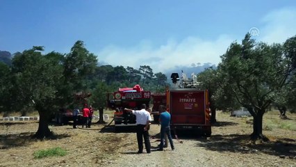 Descargar video: GÜNCELLEME - Ormanlık alanda çıkan yangın kontrol altına alındı  - BALIKESİR