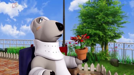 Bernard Bear | Voiture de course | 15 min Compilation | Videos For Kids