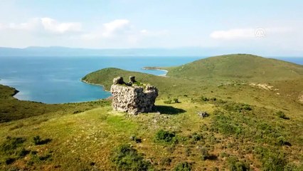 Ayvalık'taki iki adanın 'kesin korunacak hassas alan' ilan edilmesi - BALIKESİR