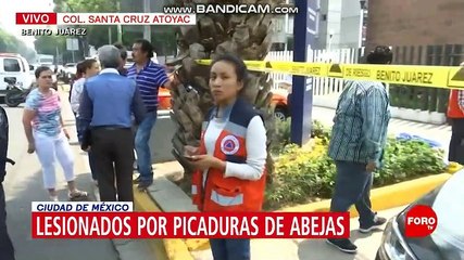 Paralelo 23 Con Ana Lucia Ordoñana 14 Mayo 2019 P1