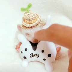 Ce bébé hérisson et son jouet sont trop adorables. Regardez !