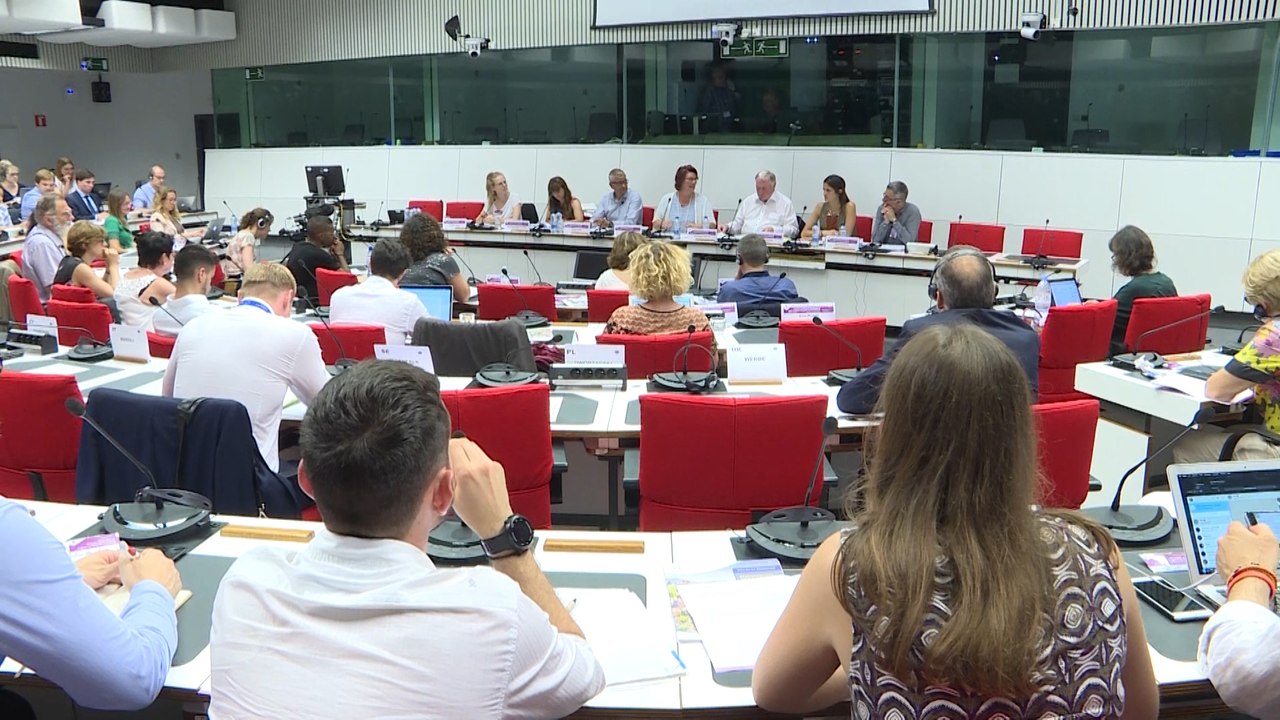 Murcia pide a la UE financiación directa a las regiones que acogen inmigrantes