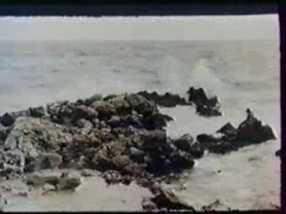 Dalida - Parlez-Moi D'Amour (clip 60s)