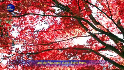 Christliches Lied | Die wahre Verkörperung der Autorität des Schöpfers