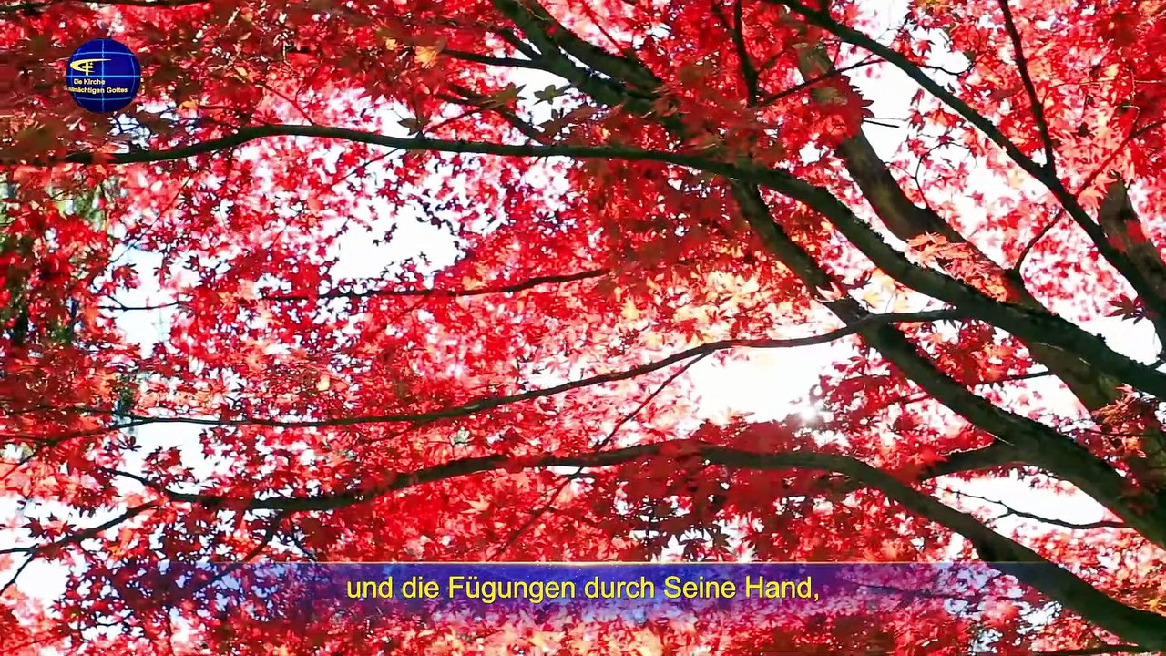 Christliches Lied | Die wahre Verkörperung der Autorität des Schöpfers