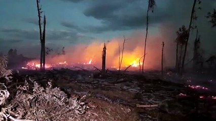 Incêndio é registrado em área de vegetação próxima ao aeroporto
