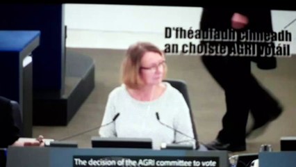 MING'S Wife gets Job with Tulsa teaching migrants their rights