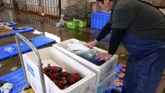 Japanese Street Food - PUFFERFISH Puffer Fish Okinawa Seafood Japan