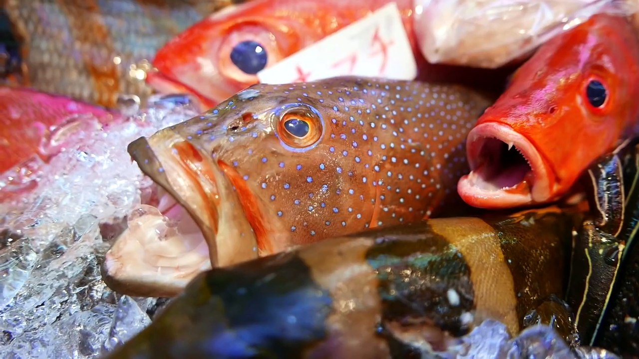 Japanese Street Food - RED SPOTTED GROUPER Garlic Olive Oil Okinawa Seafood Japan