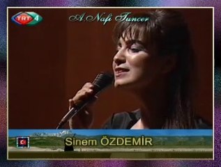 Sinem ÖZDEMİR - Rüzgâr Uyumuş Ay Dalıyor Her Taraf Issız