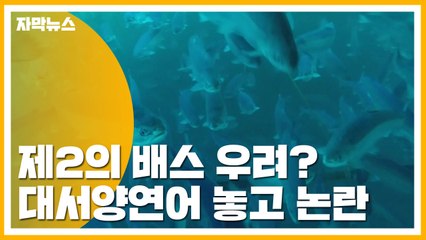 [자막뉴스] 제2의 배스 우려?...대서양연어 놓고 논란 / YTN