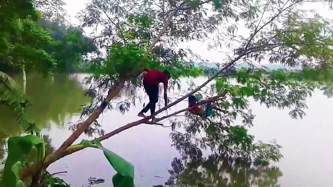 Best Fun Video Compilation 2017 ,Bangla Funny Video Clip 2017, By FuNnY StUdiO TV
