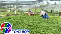 THVL | Nông thôn ngày nay: Bình Minh nâng chất tiêu chí nông thôn mới