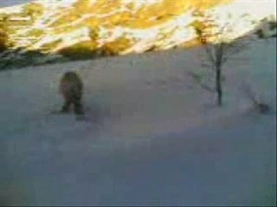 Video Snow By Thomas