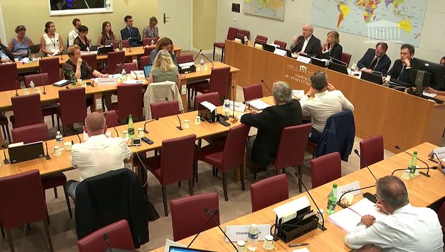 Commission des affaires étrangères : M. Hubert Védrine, ancien ministre des Affaires étrangères : quel rôle pour la France dans les tensions internationales - Mardi 25 juin 2019