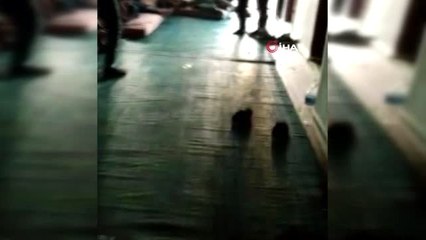 Metruk evde 70 kaçak Suriyeli yakalandı