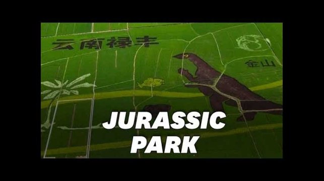 En Chine, cette rizière est devenue une oeuvre d'art géante