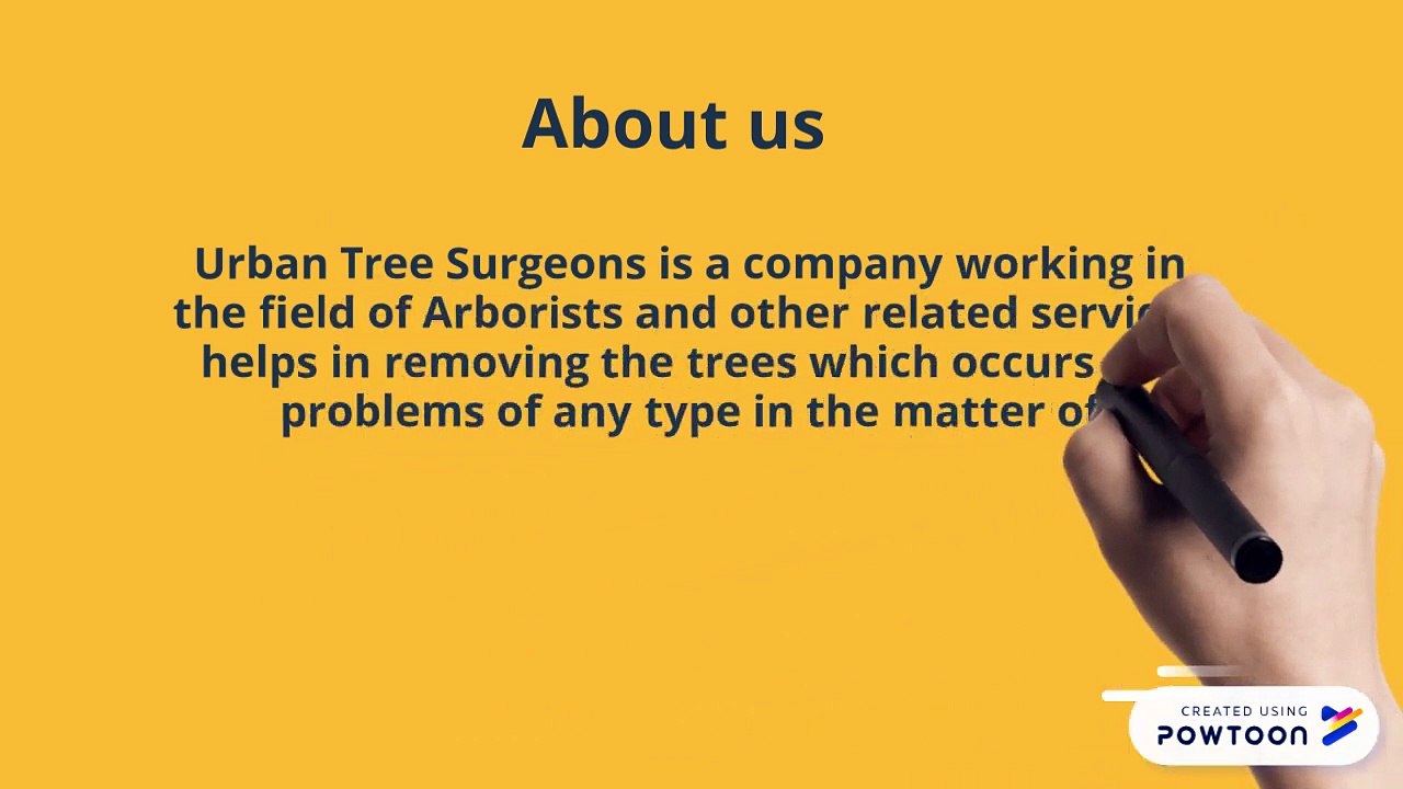 Keep up with Tree Services in North Shore