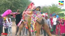Marwadi Marriage dj song || Indian Wedding Dance performance 2019 || Indian Traditional Dance || DEVAR BHABHI DANCE VIDEO || MIA KHALIFA