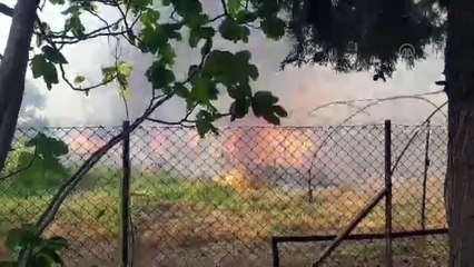 Urla'da tarla yangını - İZMİR