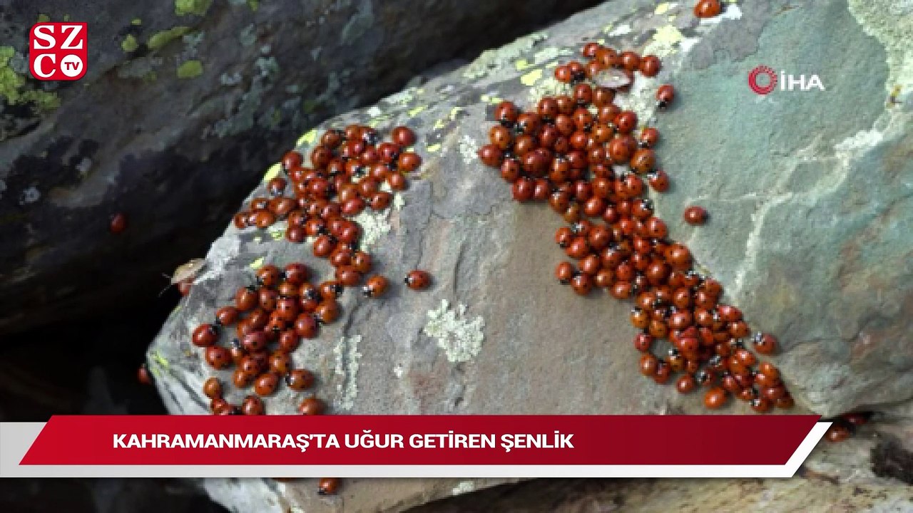 Kahramanmaraş’a uğur getiren şenlik