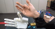 La mano robótica responde a los movimientos durante el experimento
