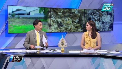 ทำความรู้จักของเสียอันตรายจากการหลอมอลูมิเนียม | เข้มข่าวค่ำ