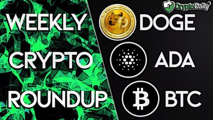 DOGE: Is it a Hedge for BTC? BATMs Reach New Milestone & Shelley Testnet Goes Live