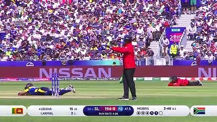 BEES ATTACKED IN WORLD CUP MATCH