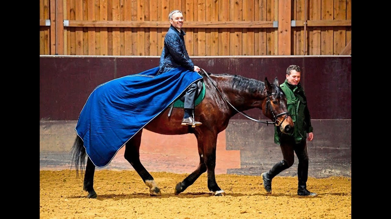Österreichs berittene Polizei: Fragen & Antworten zur Reiterstaffel